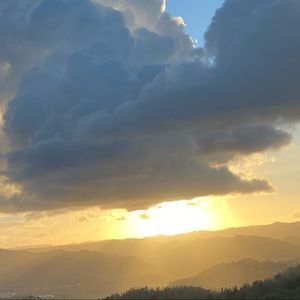 Meet your Posher, Mariel